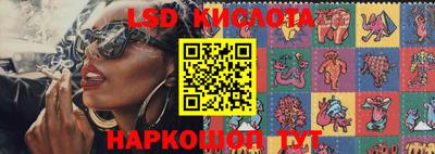 PSILOCYBIN Краснознаменск