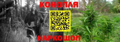 PSILOCYBIN Краснознаменск