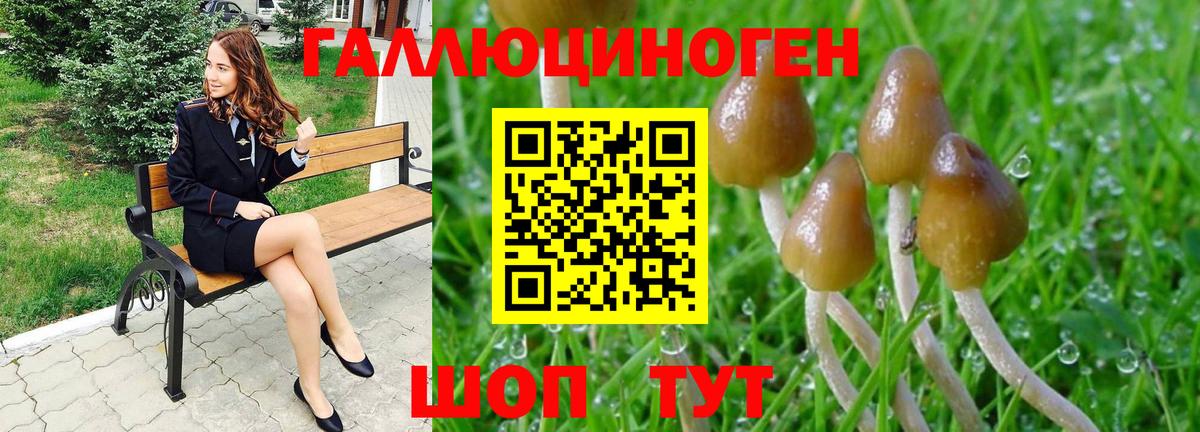 Галлюциногенные грибы ЛСД  Вход с VPN  Тавда 